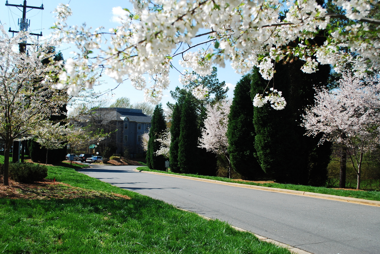 2009 - spring drive along Emerald Point drive